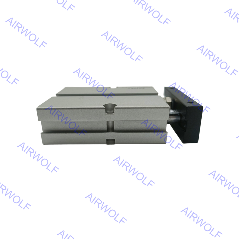 TN20X90S TN20X100S TN20X125S TN Series AirTAC Double Acting Twin-rod Cylinder
