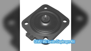 GEMU MG8 MG10 MG25 MG40 MG50 MG65 MG80 MG100 EPDM FDA ডায়াফ্রাম কিটস GEMU ডায়াফ্রাম ভালভের জন্য